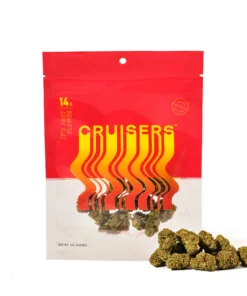 Buy Cruisers weed strain